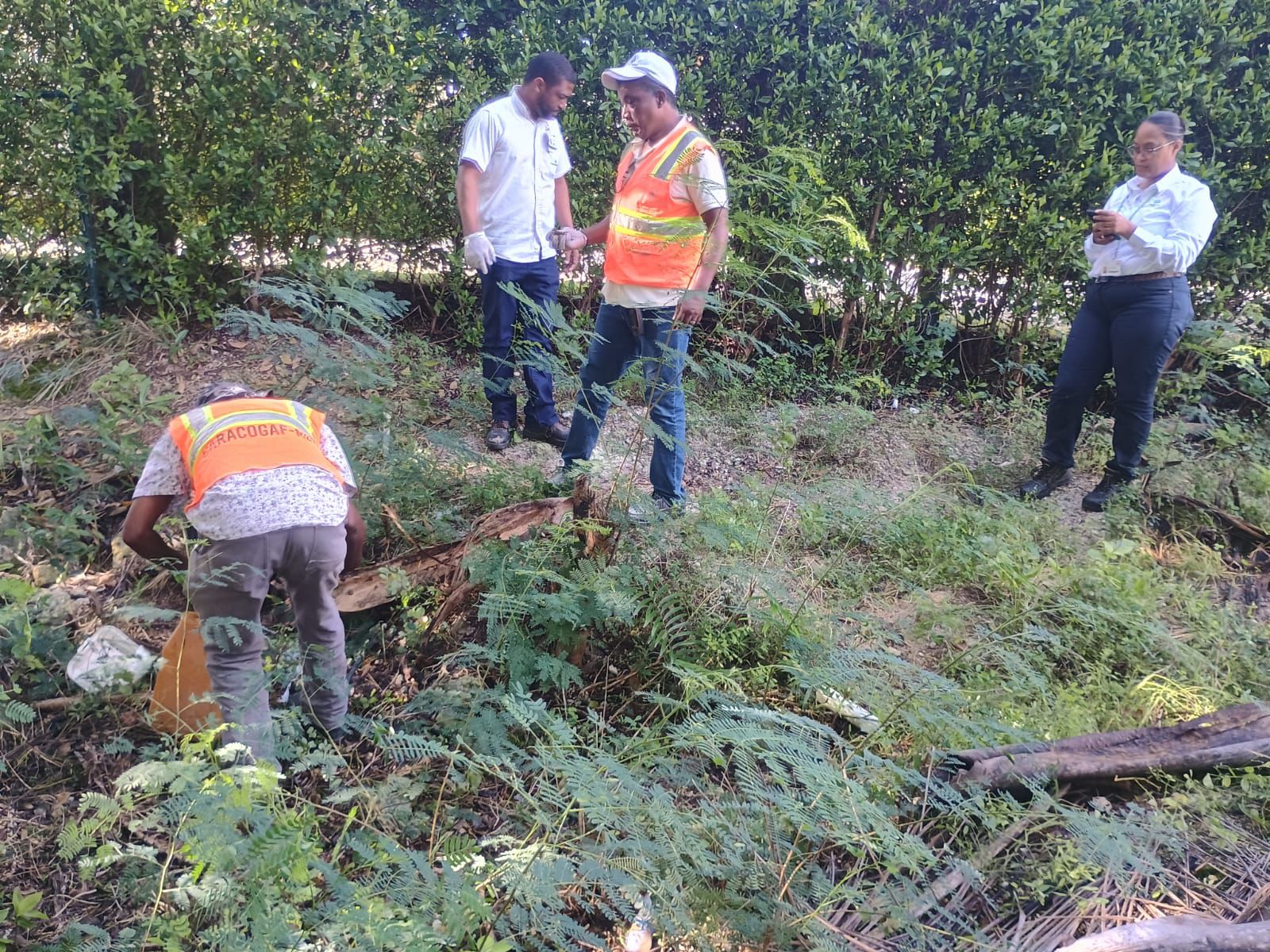 Agricultura inicia pago de más de RD$59 millones a técnicos y jornaleros de programas sanitarios