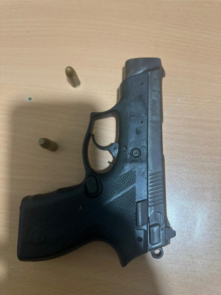 DICRIM apresa a “Genial”, “Campe” y otros antisociales en operativos en Villa Mella - Noticias de hoy en República Dominicana | De Último Minuto