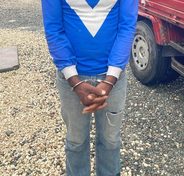 Autoridades interceptan en Azua a conductor de camión con 151 paquetes de presunta marihuana sintética - Noticias de hoy en República Dominicana | De Último Minuto