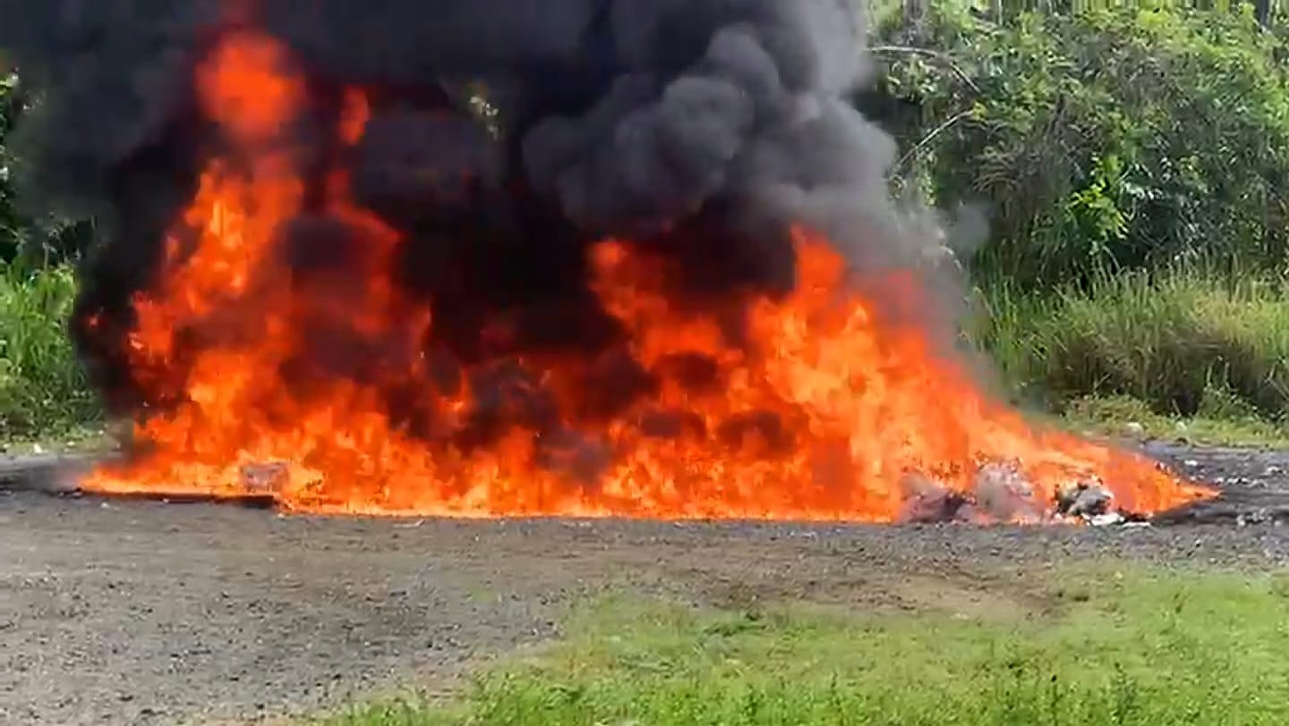 El Inacif destruye más 1,400 kilogramos de distintas drogas