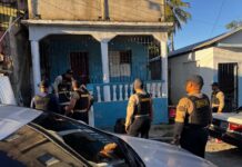 DNCD decomisa más de 783 mil gramos de drogas y 31 armas en abril
