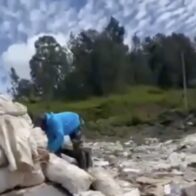 Sobreproducción y lluvias provocan pérdidas millonarias a productores de zanahorias en Constanza