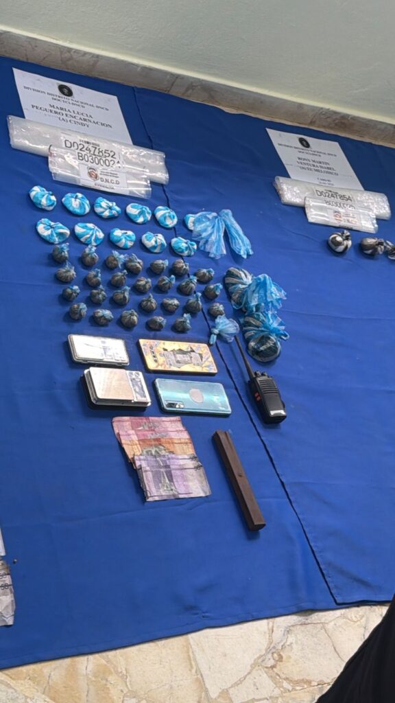 DNCD decomisa más de 783 mil gramos de drogas y 31 armas en abril - Noticias de hoy en República Dominicana | De Último Minuto
