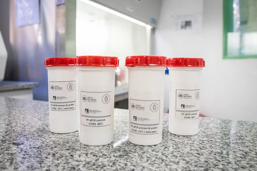 Argentina envía a países de África y Europa insumos para diagnosticar hantavirus - Noticias de hoy en República Dominicana | De Último Minuto