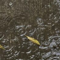 Chubascos y aguaceros con tormentas eléctricas afectarán gran parte del país