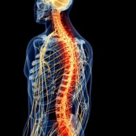 Cómo vivir con esclerosis múltiple y manejar los síntomas para mejorar tu calidad de vida