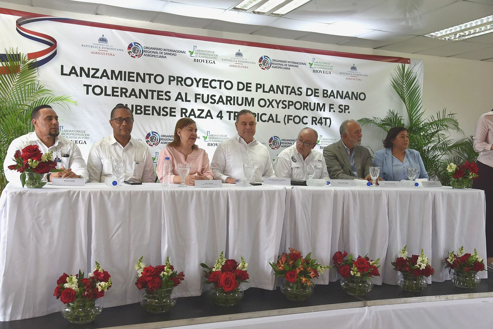 RD se adelanta al Fusarium R4T: Agricultura y OIRSA lanzan proyecto pionero de banano tolerante - Noticias de hoy en República Dominicana | De Último Minuto