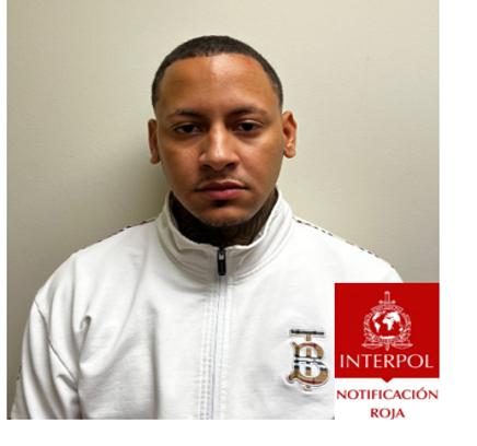 Interpol entrega a RD dos dominicanos extraditados desde España y Chile - Noticias de hoy en República Dominicana | De Último Minuto
