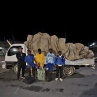 Ejército intercepta camión que transportaba haitianos indocumentados ocultos entre vegetales en Constanza - Noticias de hoy en República Dominicana | De Último Minuto