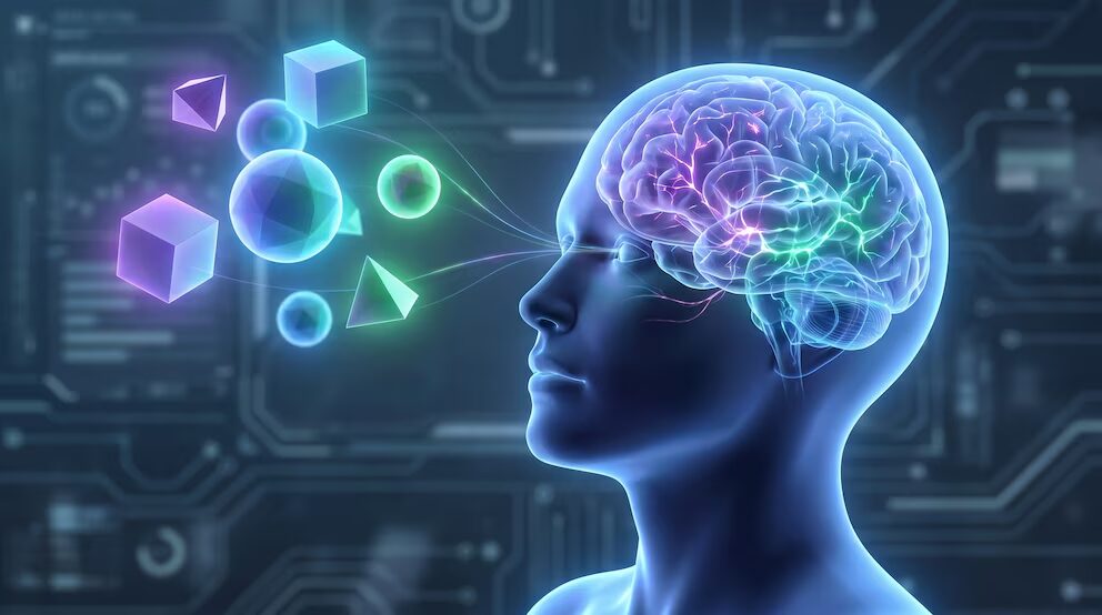 Cómo el cerebro organiza la información visual para reconocer formas y movimientos, según el MIT - Noticias de hoy en República Dominicana | De Último Minuto