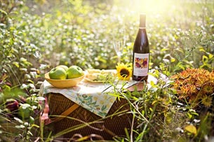 Día Internacional del Picnic - Noticias de hoy en República Dominicana | De Último Minuto