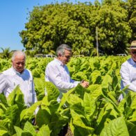 RD reporta 1.359 millones de dólares en exportaciones de tabaco en 2025