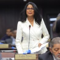 Diputada Lidia Pérez somete proyectos para reforzar la libertad de expresión y eliminar penas de prisión por opiniones - Noticias de hoy en República Dominicana | De Último Minuto