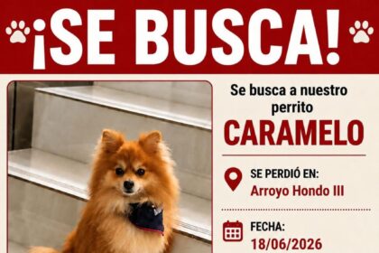 Buscan a “Caramelo”, un perro pomerania desaparecido en Arroyo Hondo III