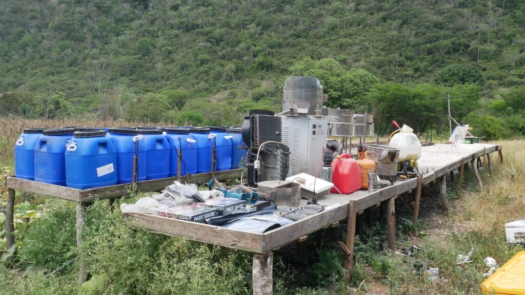 DNCD desmantela plantación de marihuana en San José de Ocoa; tres personas fueron arrestadas - Noticias de hoy en República Dominicana | De Último Minuto