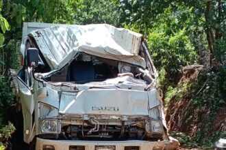 Camión cargado de tayotas se vuelca en Manabao