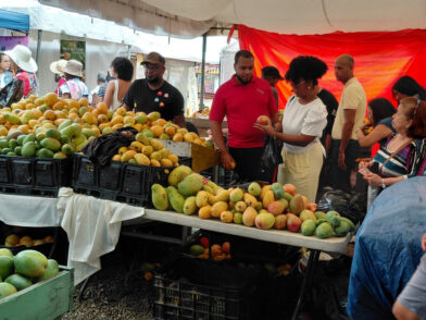 Pese a las lluvias, cientos de visitantes disfrutan de la Feria del Mango en Baní - Noticias de hoy en República Dominicana | De Último Minuto