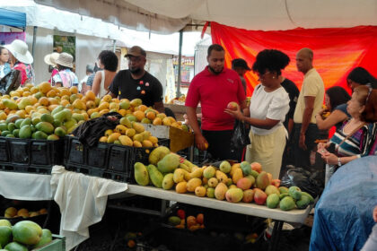 Pese a las lluvias, cientos de visitantes disfrutan de la Feria del Mango en Baní - Noticias de hoy en República Dominicana | De Último Minuto