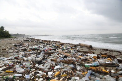 Basura y sargazo deterioran la playa Los Gringos en Bajos de Haina - Noticias de hoy en República Dominicana | De Último Minuto