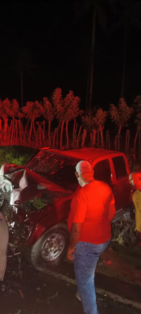 Dos franceses mueren y cinco resultan heridos en accidente en El Catey | 8 | Dos franceses mueren y cinco resultan heridos en accidente en El Catey - Noticias de hoy en República Dominicana | De Último Minuto