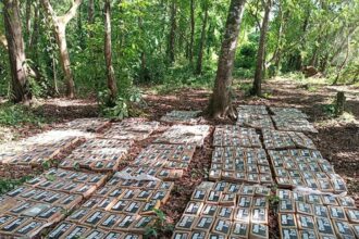Ejército de Nicaragua incauta 475 paquetes de cocaína cerca de frontera con Costa Rica