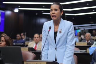 Diputada Patricia Núñez impulsa proyecto para regular el uso de cigarrillos electrónicos en RD