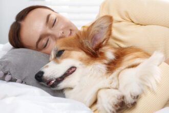Dormir con mascotas: estudios revelan beneficios emocionales, pero también riesgos