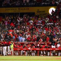 Leones del Escogido inician venta y renovación de abonos para la temporada 2026-27 - Noticias de hoy en República Dominicana | De Último Minuto