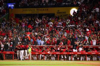 Leones del Escogido inician venta y renovación de abonos para la temporada 2026-27 - Noticias de hoy en República Dominicana | De Último Minuto
