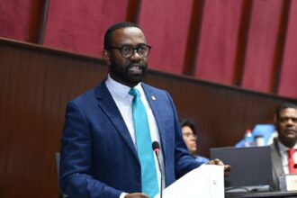 Diputado Carlos de Pérez cuestiona funcionamiento de CONANI y pide reformas al sistema de protección infantil