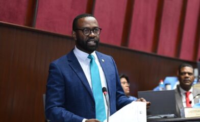 Diputado Carlos de Pérez cuestiona funcionamiento de CONANI y pide reformas al sistema de protección infantil