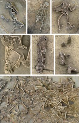 Misterio en Eslovaquia: hallan 77 esqueletos sin cabeza de hace más de 7,000 años