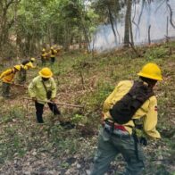 Medio Ambiente controla incendio forestal en Bonao y mantiene vigilancia en Sierra de Bahoruco