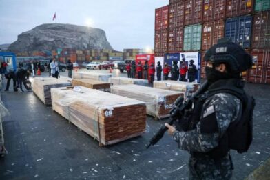 Chile decomisó más de 100 toneladas de droga oculta en cargamentos de madera boliviana