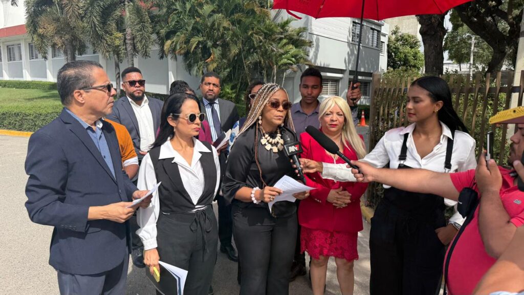 Ciudadanos y organizaciones intervienen ante el Tribunal Constitucional en defensa del Código Penal - Noticias de hoy en República Dominicana | De Último Minuto