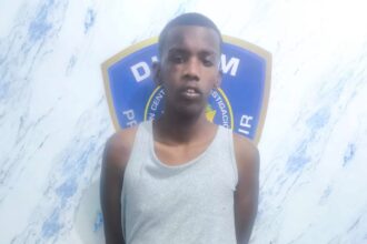 Capturan en menos de 24 horas a “Piraña” por muerte de ciudadano haitiano en Villa Mella