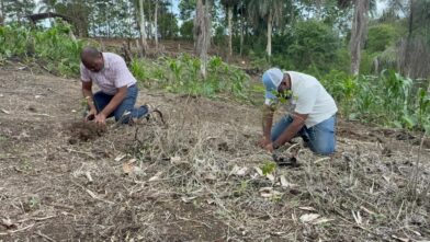 Medio Ambiente y Alcaldía realizan jornada de reforestación en zona depredada en Río Boyà