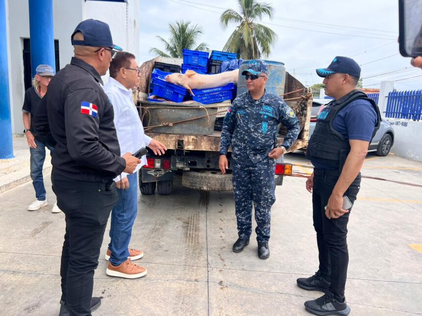 Autoridades desmantelan matadero clandestino con carne en estado de descomposición en Río San Juan