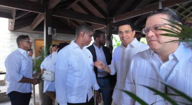 “¡Llegó David!” Militantes del PRM reciben a David Collado entre aplausos y consignas presidenciales - Noticias de hoy en República Dominicana | De Último Minuto