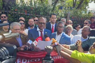 CMD impugna ante el Tribunal Constitucional artículos del nuevo Código Penal