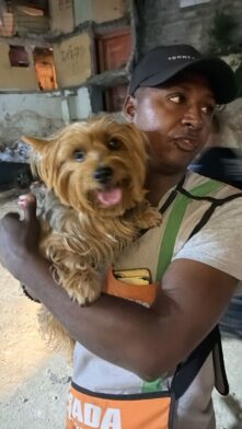 Popi es encontrado sano y salvo tras haber sido reportado como extraviado en Santo Domingo Oeste