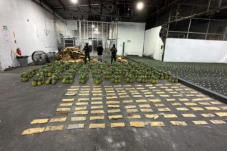 DNCD incauta piñas con 121 láminas de presunta cocaína y arresta a un hombre