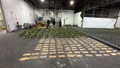 DNCD incauta piñas con 121 láminas de presunta cocaína y arresta a un hombre