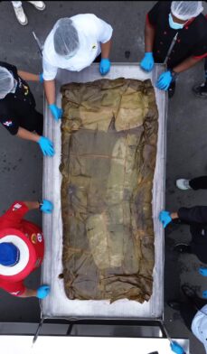 San Pedro de Macorís celebra con éxito la elaboración del pastel en hoja más grande del país