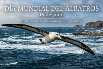 Día Mundial del Albatros o Alcatraz (19 de junio)