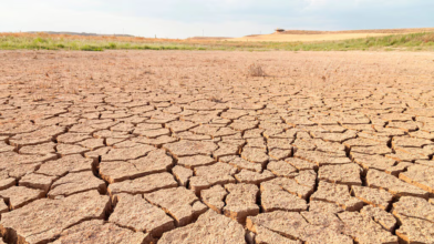 El Niño se consolida en Asia-Pacífico y enciende alertas por sequías y crisis agrícola
