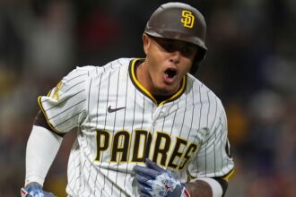Machado la saca, Soto lidera en OPS y García Jr. impulsa cinco en jornada dominicana de MLB - Noticias de hoy en República Dominicana | De Último Minuto