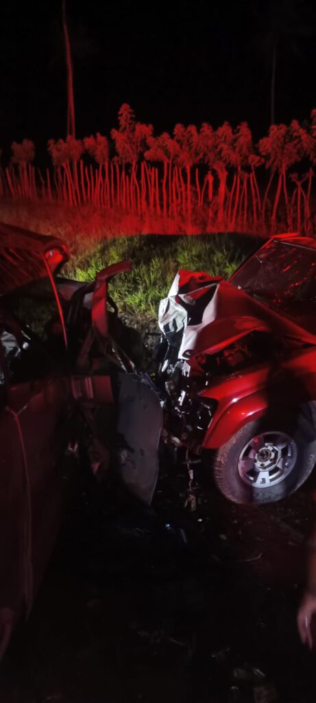 Dos franceses mueren y cinco resultan heridos en accidente en El Catey | 5 | Dos franceses mueren y cinco resultan heridos en accidente en El Catey - Noticias de hoy en República Dominicana | De Último Minuto