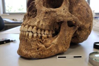 Identifican en Israel la herida por violencia más antigua conocida en una mandíbula de 90.000 años