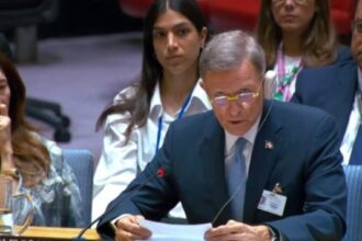 RD pide a la ONU acelerar misión antipandillas